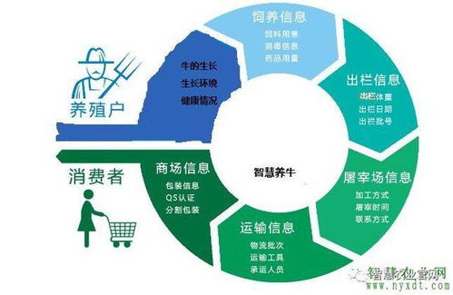 智慧農(nóng)業(yè)新篇章 物聯(lián)網(wǎng)智慧養(yǎng)牛系統(tǒng)的軟件開(kāi)發(fā)與應(yīng)用