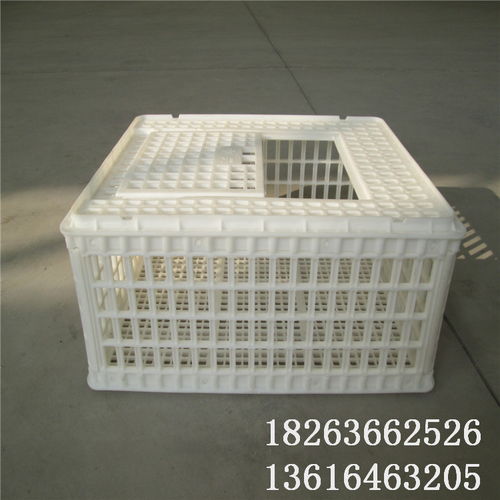 【塑料雞籠圖片和價(jià)格運(yùn)輸雞筐批發(fā)】-